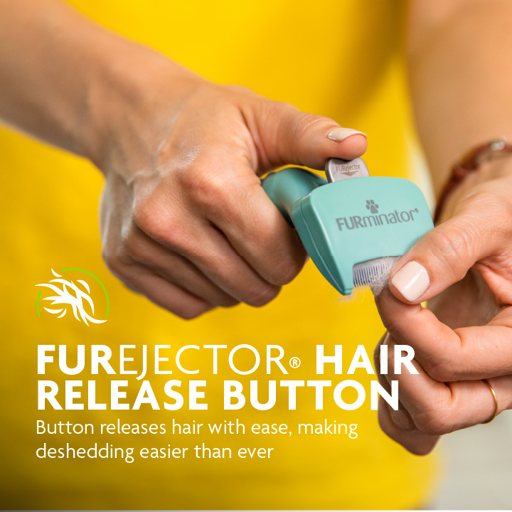 Undercoat deShedding Tool for Small Short Hair Cats FURminator
